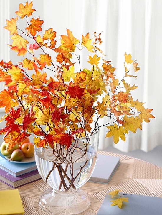 15 ideas de decoración con ramas y hojas