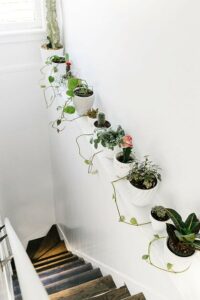 como decorar con plantas