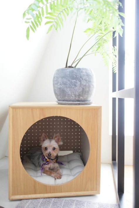 láser matraz enfocar Como hacer una cama para perros y gatos diy / Por4Pavos DIY
