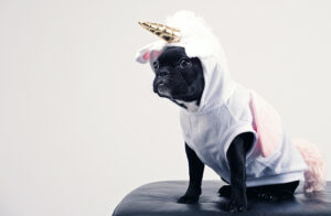ideas-para-hacer-disfraces-caseros-disfraz-unicornio-facil