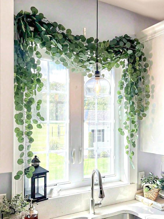 plantas en ventana para decorar